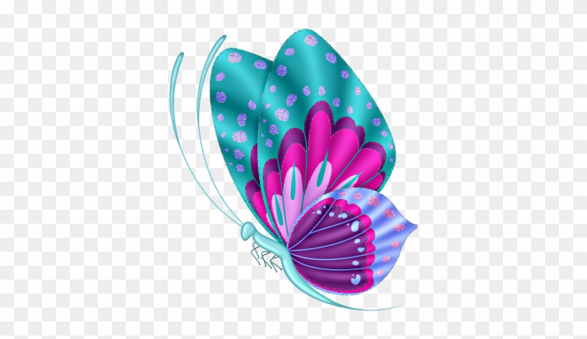 Butterfly #922405