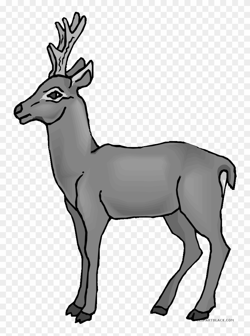 Cute Deer Animal Free Black White Clipart Images Clipartblack - Elk #922409