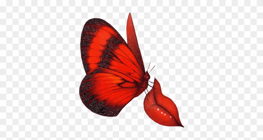 Moves Clipart Real Butterfly - Imagenes De Mariposas Con Movimiento #922451
