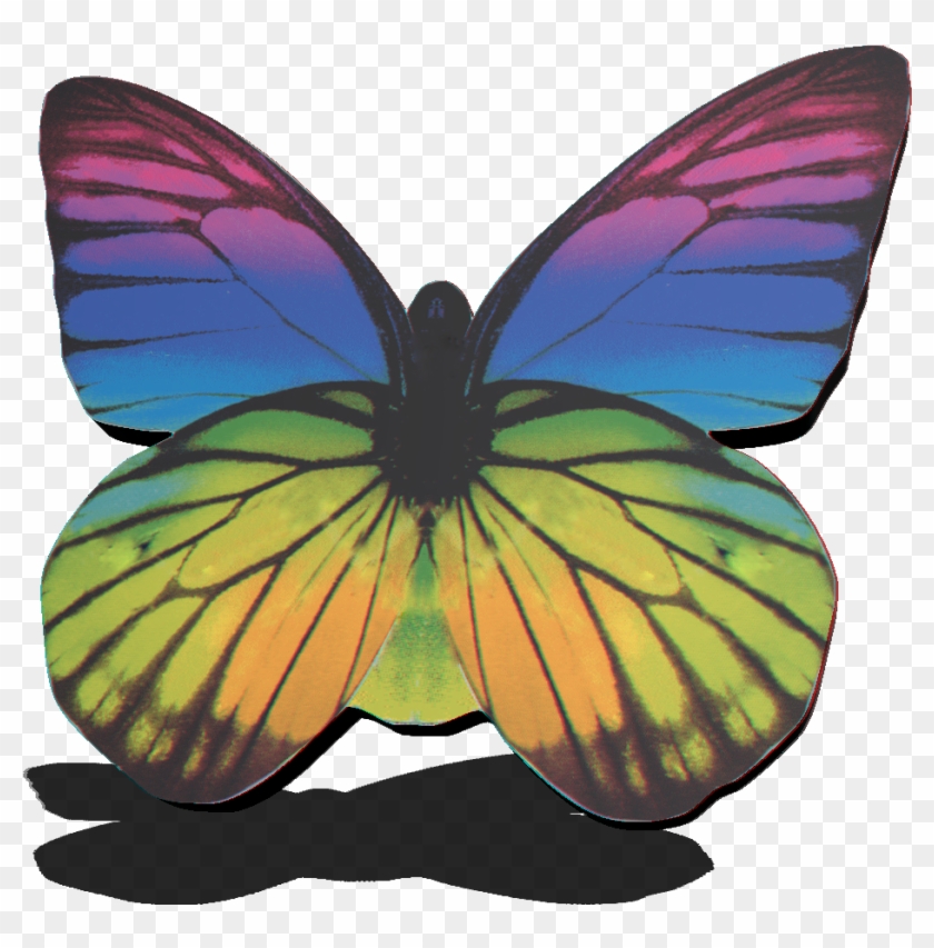 Your Divine Pathway - Lycaena #922730