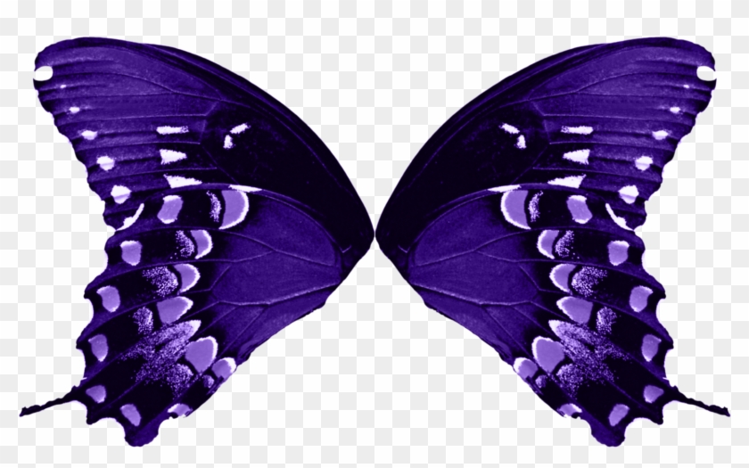 Butterfly Wings Cut Out - Butterfly Wings Transparent Background #922732