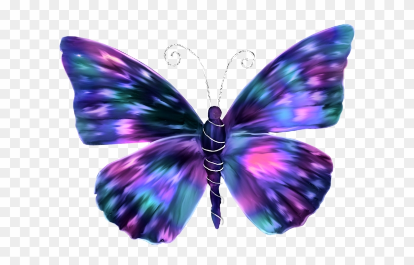 Cool Butterflies #922782