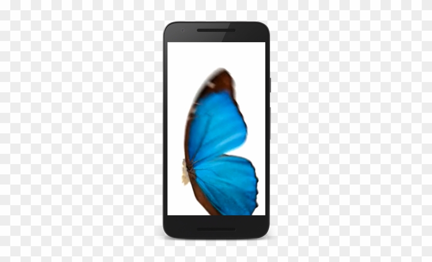 Butterfly 3d Live Wallpaper Butterfly 3d Live Wallpaper - Smartphone #922791