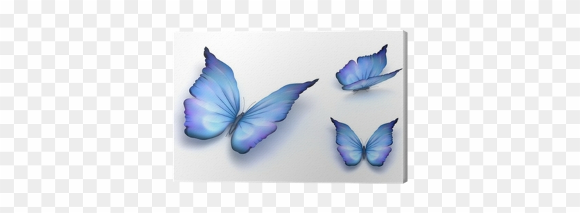 Blue Butterfly Isolated On White - Recovery And Renewal: Your Essential Guide To Overcoming #922804