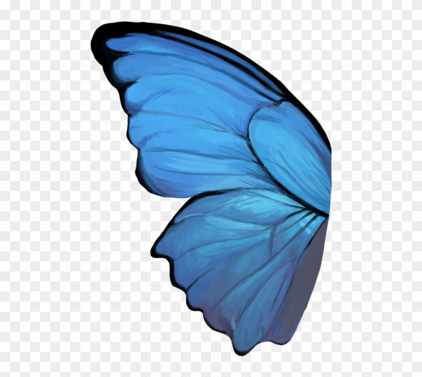 Butterfly Wing - Butterfly Wing Png #922834