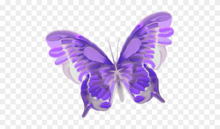 Free Butterfly Transparent Background - Dunyanin En Harika Kelebek Görseller #922945