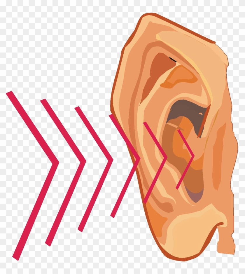 Ear Sound Waves Clipart - Sound Vibration Clipart #923078