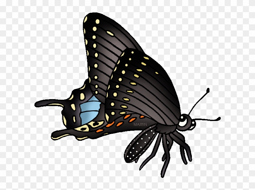 State Butterfly Of Oklahoma - Black Swallowtail Butterfly Clipart #923119