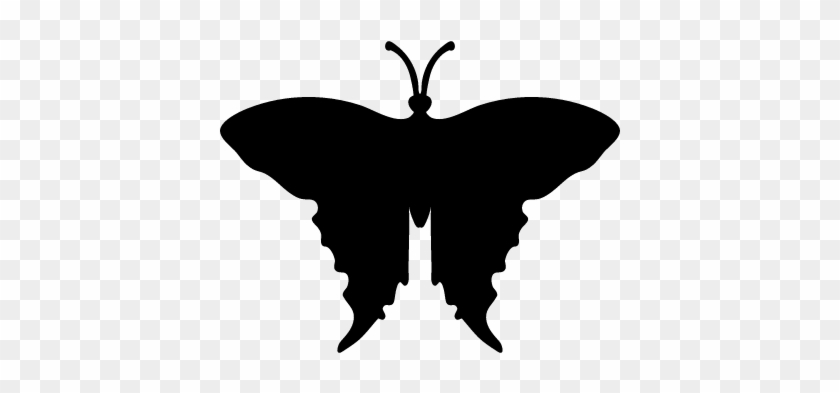 Swallowtail Butterfly Shape Vector - Butterfly #923136