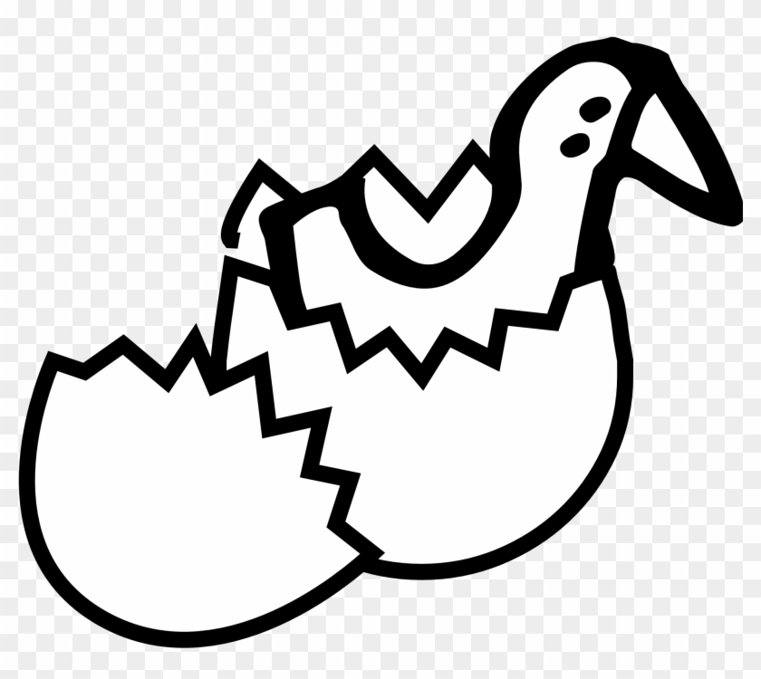 Chicken Eggs Chick From Egg Coloring Book Svg - Eggs Hatching Clipart #923155