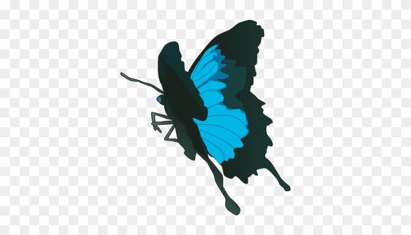 Swallowtail Butterfly Svg - Papilio Ulysses Butterfly #923160