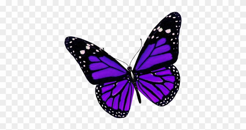 Beautiful Butterflies Cute Digital Clipart, Butterfly - Purple Butterfly Png #923183