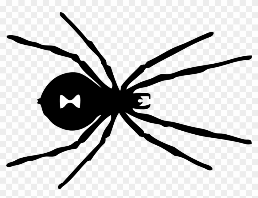 Black Widow Spider Coloring Pages Black Widow Spider - Black Widow Red Spot #923187