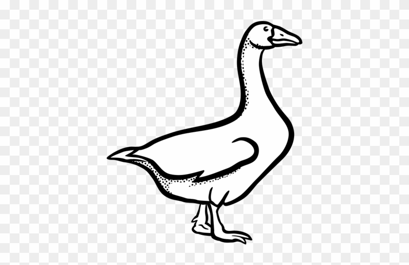 Goose From Coloring Book - Goose Black And White #923192
