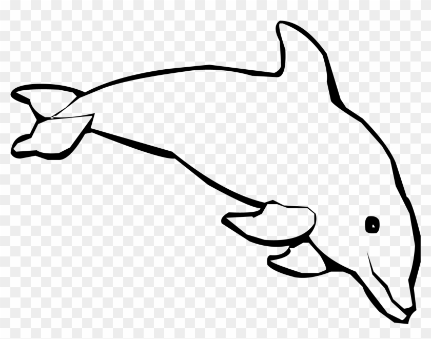 Spinner Dolphin Coloring Book Child Bottlenose Dolphin - Draw A Baby Dolphin #923206