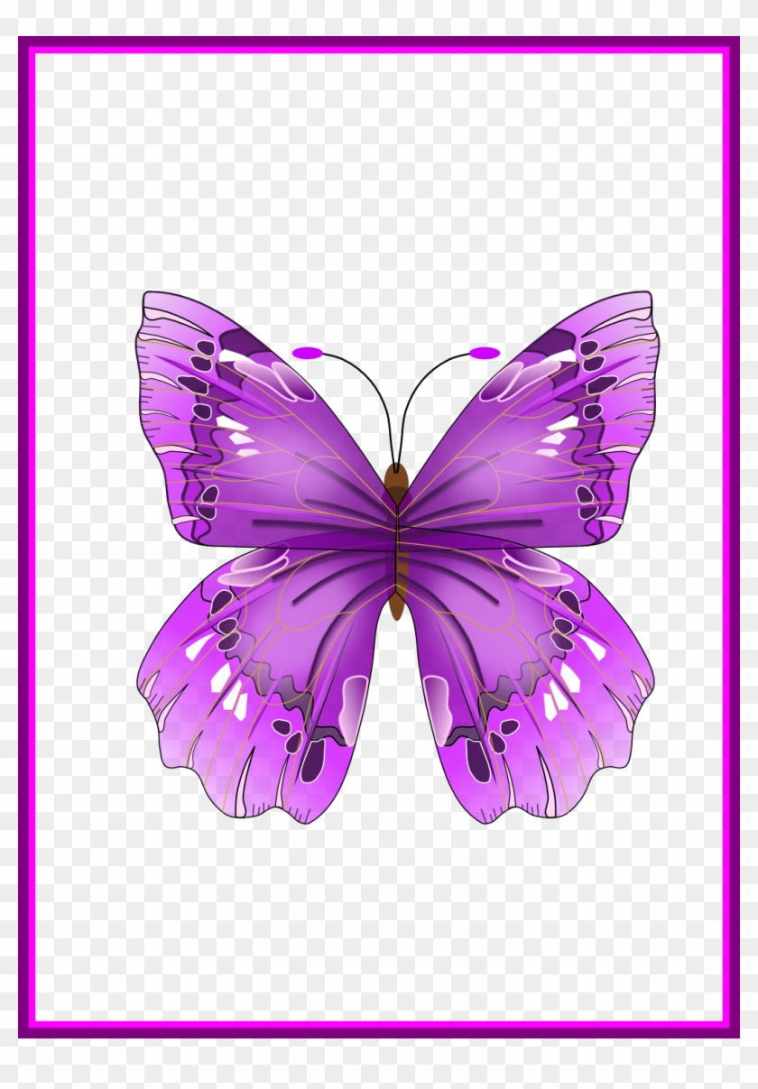 Butterfly Clipart Clipart Gallery Butterfly Fascinating - Butterfly Png Clipart #923228