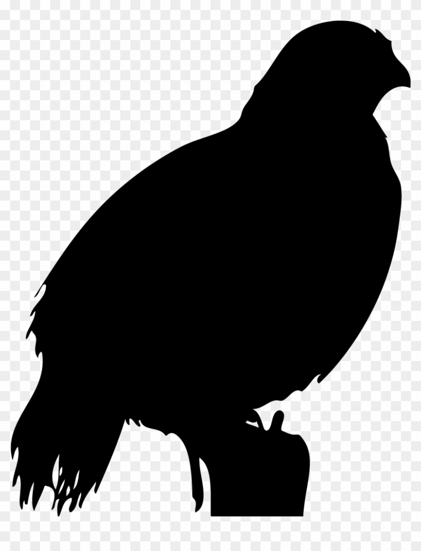 California Outline Clip Art - Birds #923253