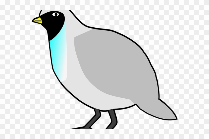 Quail Clipart Quail Bird - Cartoon #923259