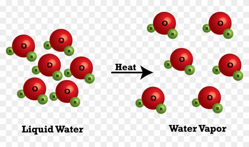 Molecules Clipart Physical Property - Water Off A Duck's Back #923448