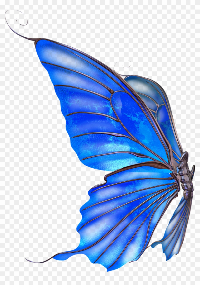Butterfly Drawing - Butterfly - Alas De Hada Psd #923725