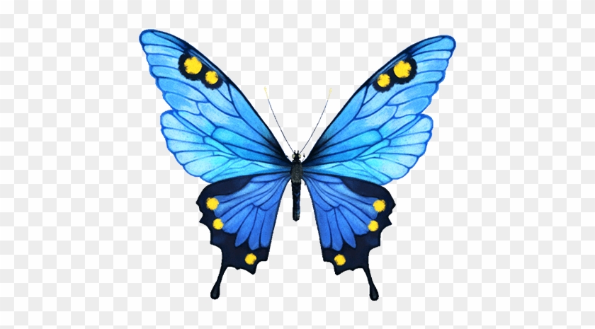 Official Infinity Blade Website - Blue Butterflies #923732