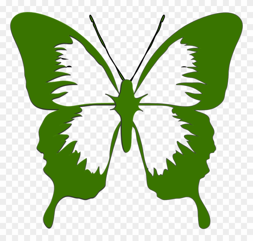 Green Butterfly Clipart 7, Buy Clip Art - Butterfly Clipart Black And White #923833