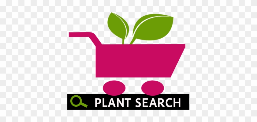 Plant Categories - Garden #923893