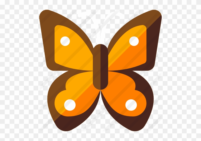 Butterfly #923905