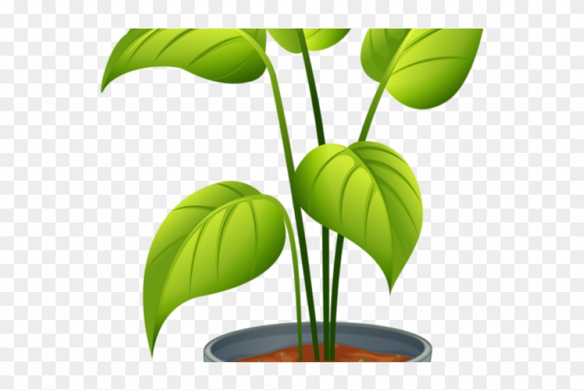 Bushes Clipart Different Plant - Clip Art #923906