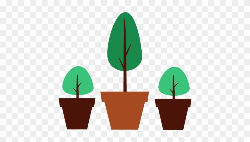 Shrub Tree Pots - Shrub #923915