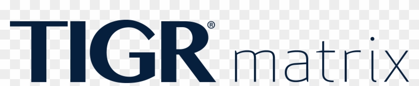 Media - Media #923970