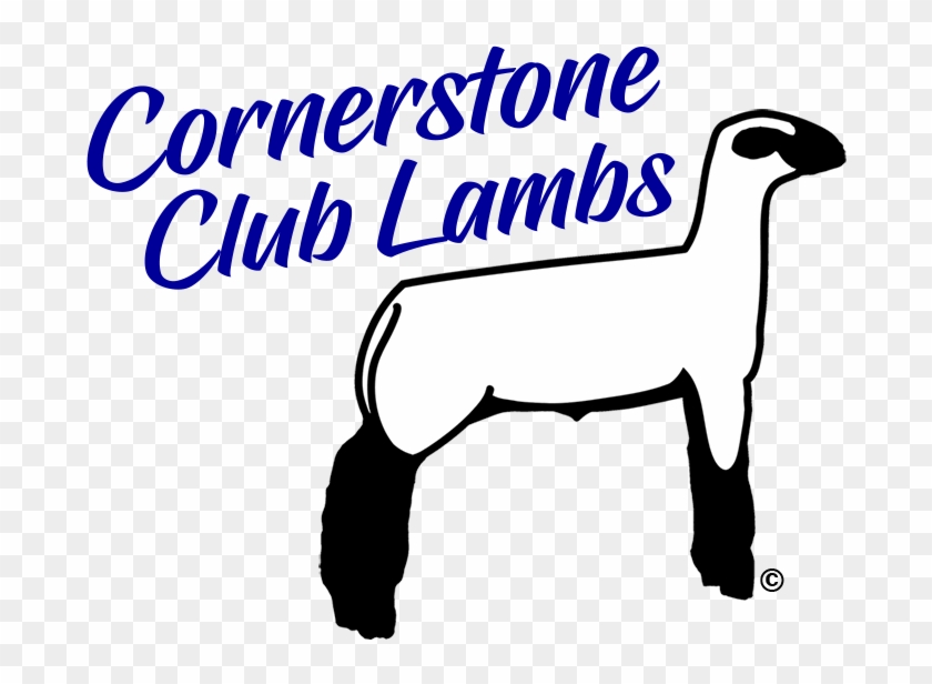 Lamb Clipart Club Lamb - Lamb Clipart Club Lamb #924020