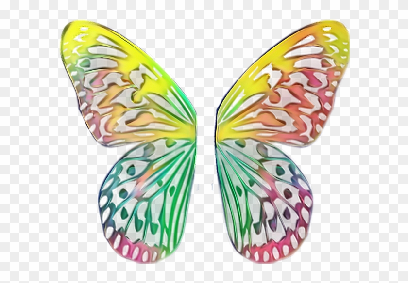 Ftewings Butterfly Wings Butterflywings Monarch Monarch - Monarch #924040
