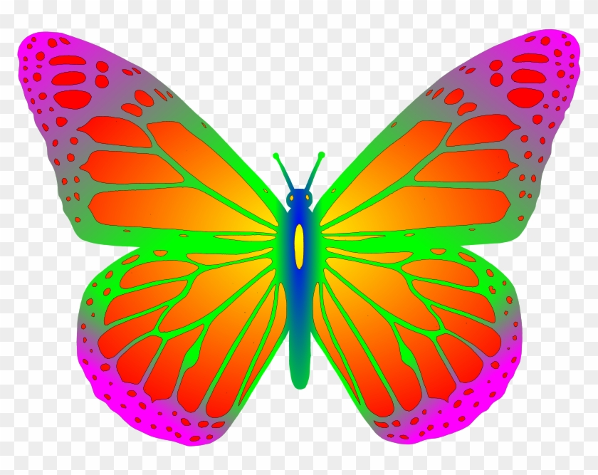 Medium Image - Papilio Machaon #924109