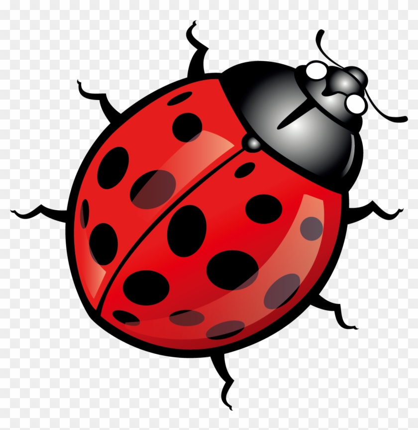 Beetle Ladybird Euclidean Vector Clip Art - Ladybug Logo #924118
