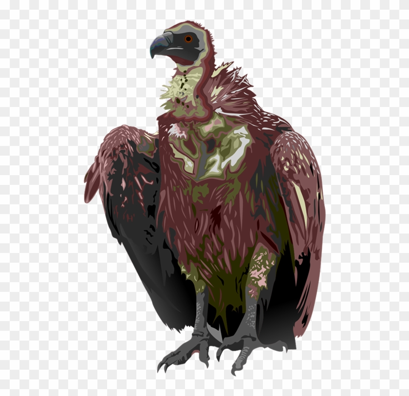 Vulture Clipart Valcher - Vulture Clipart #924281