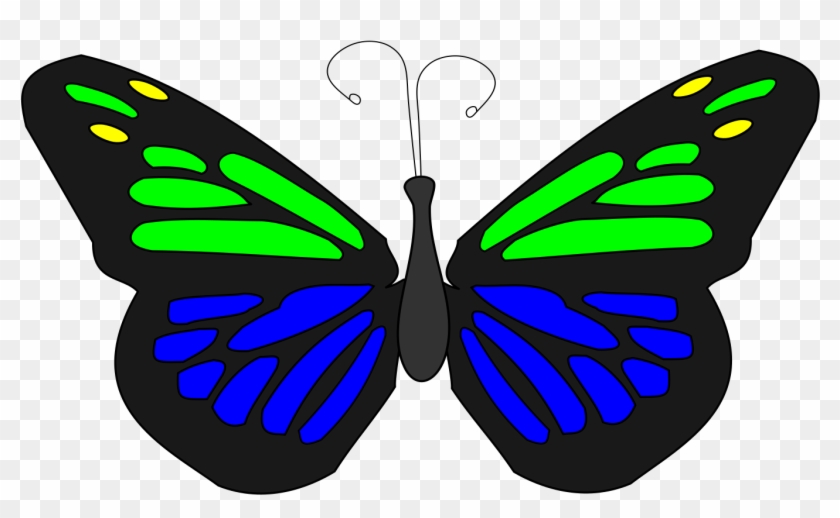Butterfly Animation - Portable Network Graphics #924384