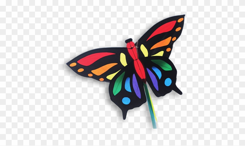 16344 Tropical Butterfly Papillon Vlinder - Didakites Tropical Vlinder M #924405