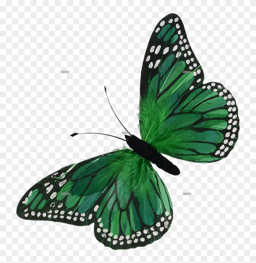 Monarch Butterfly Green Yellow Blue - Schmetterling Grün #924424