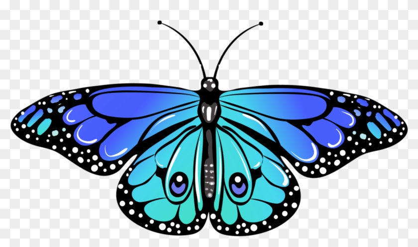 Butterfly - Monarch Butterfly #924447