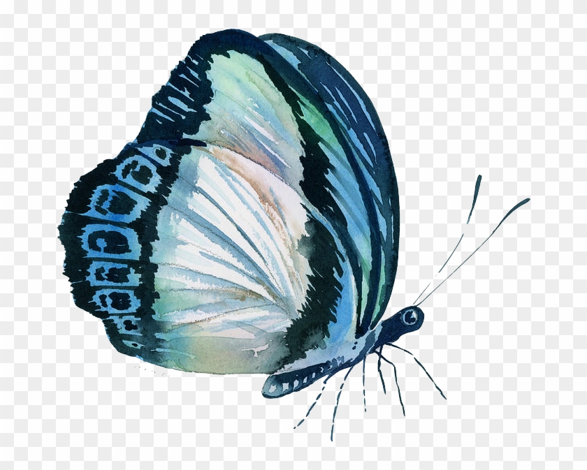 101 Perched Danis Danis Butterfly Amy Kirkpatrick - Artwall 'perched Danis Danis' By Amy Kirkpatrick Painting #924450