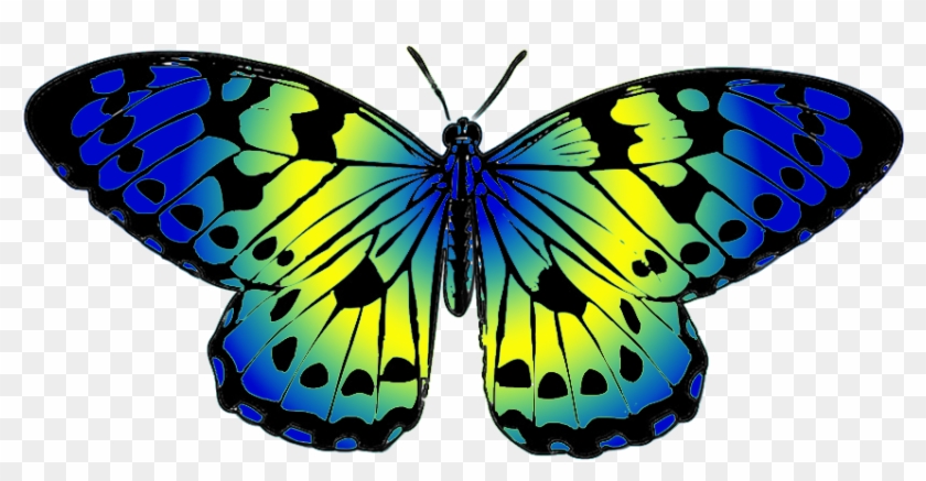 Clipart Of Butterfly, Butterfly And And Butterfly In - Yellow And Blue Butterfly #924452