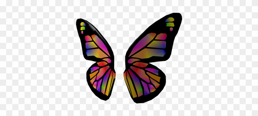 Rainbow Butterfly Wings - Guam Butterflies #924462