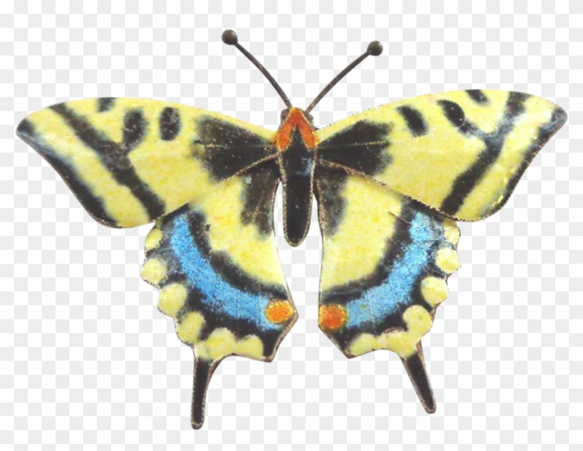 Enamel On Sterling Silver Swallowtail Butterfly - Lycaenid #924465