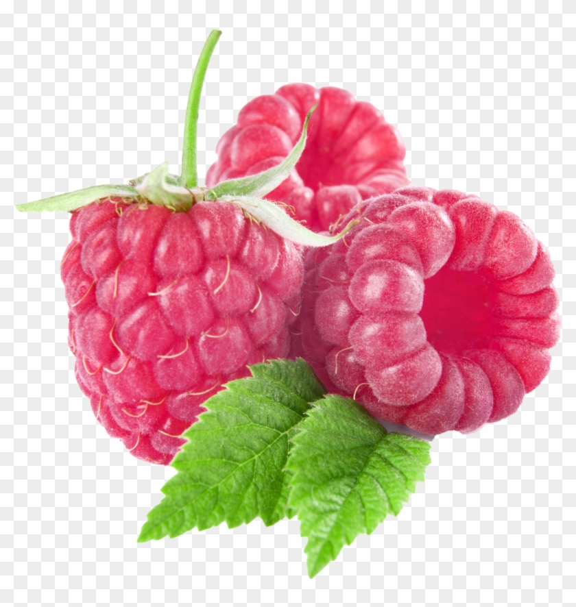 Raspberry Clipart Boysenberry - Raspberry Clipart Transparent #924517