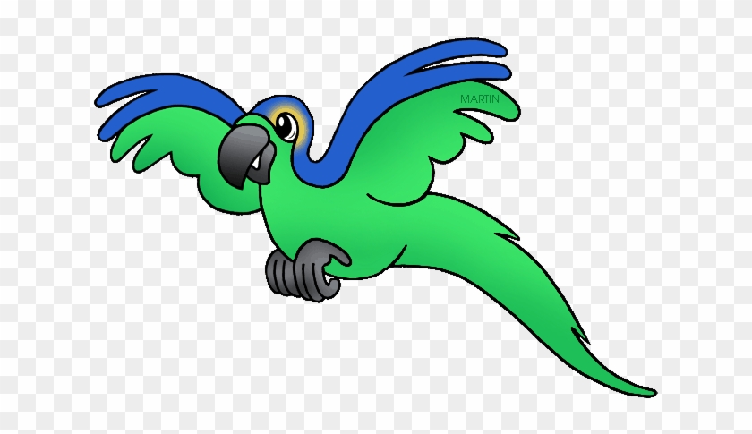Macaw Clipart - Phillip Martin Clipart Bird #924598