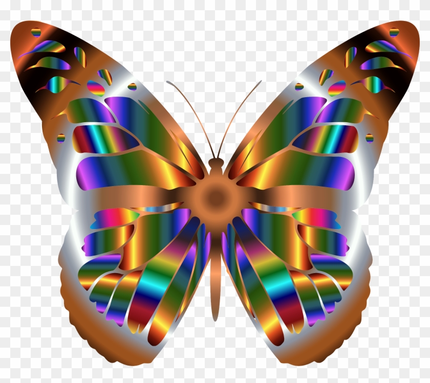 See Here Butterfly Clipart Black And White Outline - Real Rainbow Monarch Butterfly #924618