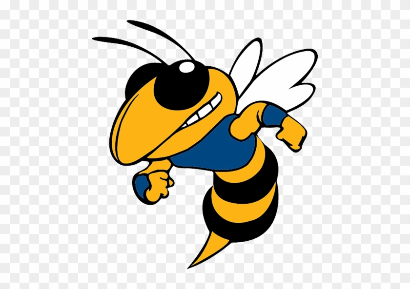 Welcome To Big Lake Hornets Athletic Website - Georgia Institute Of Technology #924733