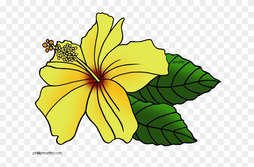 Hawaiian Flower Clip Art - Phillip Martin Clipart Flower #924740