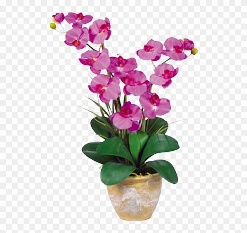 Nearly Natural Silk Phalaenopsis Orchid Arrangement, - Nearly Natural Double Stem Phalaenopsis Silk Orchid #924777